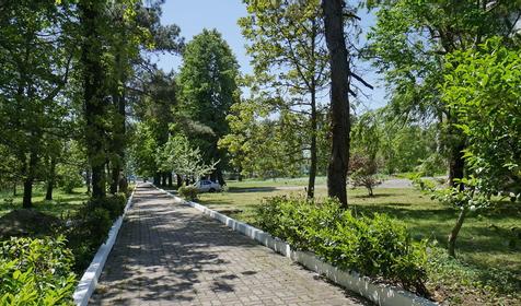 Территория. Отель Парус, Туапсинский район, п. Джубга