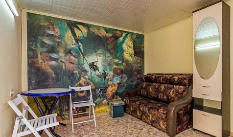 Однокомнатный. Мини-гостиница Волшебный сад, г. Ейск