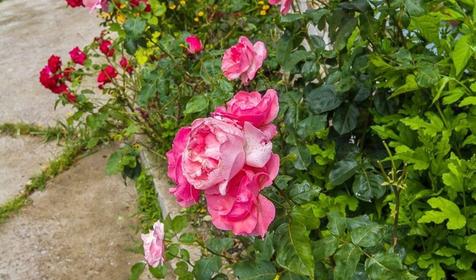 Гостевой дом "Водолей", Туапсинский район, п. Небуг