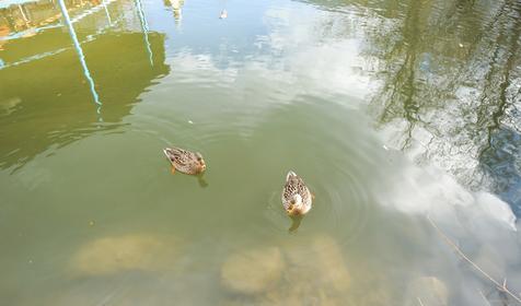 дом с 3 спальнями