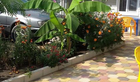 Мини-гостиница Пиламида, Туапсинский район, с. Пляхо