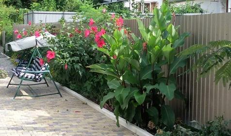 Мини-гостиница Пиламида, Туапсинский район, с. Пляхо