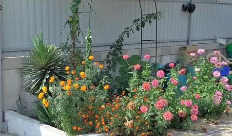 Мини-гостиница Пиламида, Туапсинский район, с. Пляхо