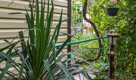 Частный дом Жемчужинка, Туапсинский район, с. Небуг