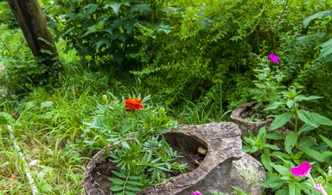 Частный гостевой дом Лесной, пос. Новомихайловский