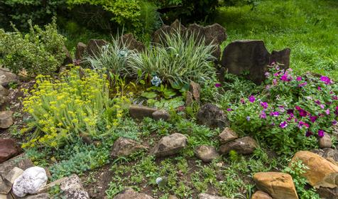 Частный гостевой дом Лесной, пос. Новомихайловский