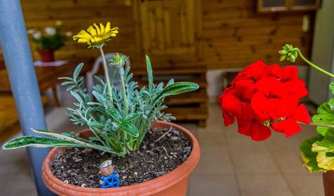 Коттедж Лесной, Туапсинский район, п. Ольгинка