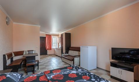 Однокомнатная студия люкс с кухней