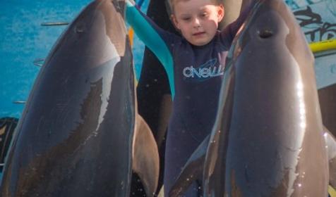 Дельфинарий Немо, Туапсинский р-н, п. Джубга