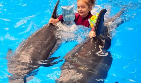 Дельфинарий Немо, Туапсинский р-н, п. Джубга