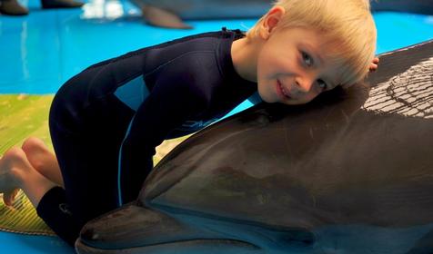 Дельфинарий Немо, Туапсинский р-н, п. Джубга