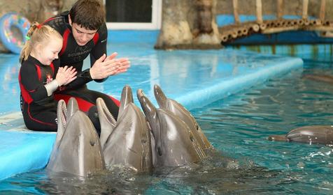 Дельфинарий Немо, Туапсинский р-н, п. Джубга