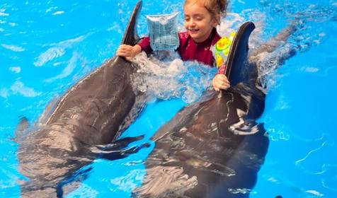 Дельфинарий Немо, Туапсинский р-н, п. Джубга