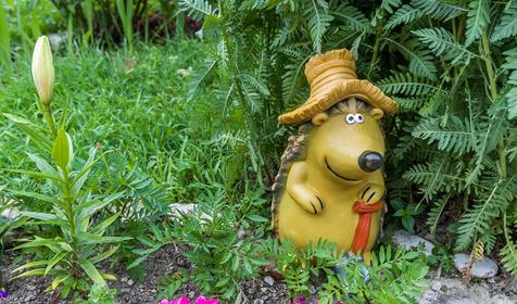 Гостевой дом Виктория-отдых, пос. Ольгинка