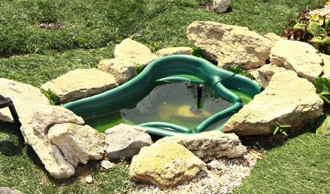 Роза ветров