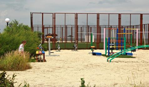 Роза ветров