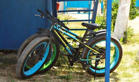 Роза ветров