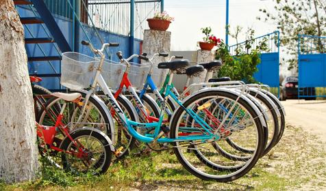 Роза ветров