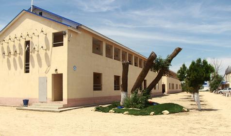 Роза ветров