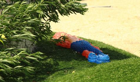 Роза ветров