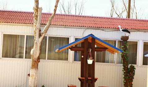 Роза ветров