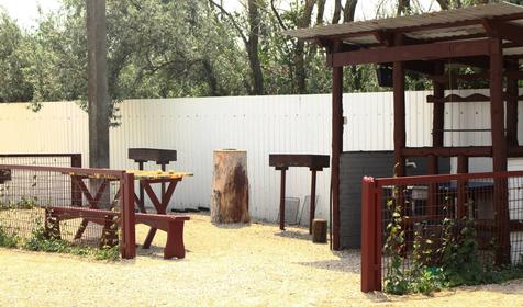 Роза ветров