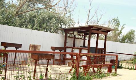 База отдыха Роза ветров, Ейский район, ст. Должанская, коса Долгая