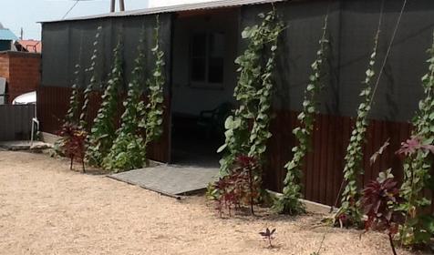 Приветливый Юг