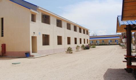 Роза ветров