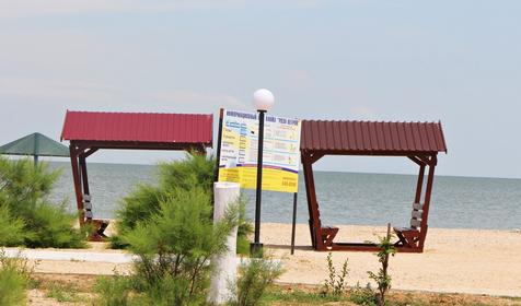 Роза ветров