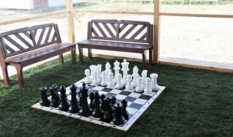 Роза ветров