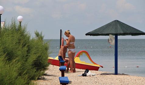 Роза ветров