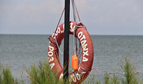 Роза ветров