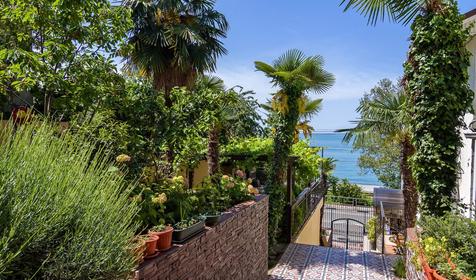 Анжелика-Альбатрос