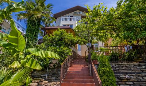 Анжелика-Альбатрос