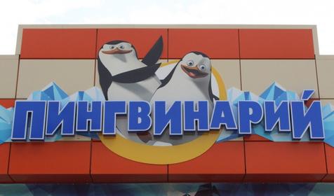 Дельфинарий Немо, Туапсинский р-н, п. Джубга