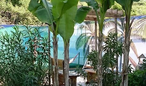 Гостевой дом Бегущая по волнам, г. Сочи, Лазаревский район, п. Лоо