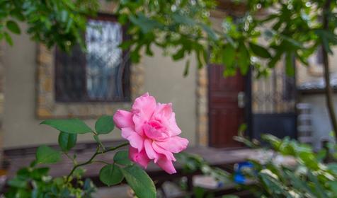 Дом по ул. Ильича 14а, г. Новороссийск, с. Южная Озереевка