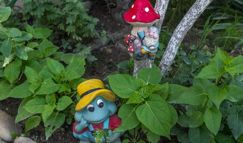 Гостевой дом в Сукко, Анапский р-н, пос. Сукко