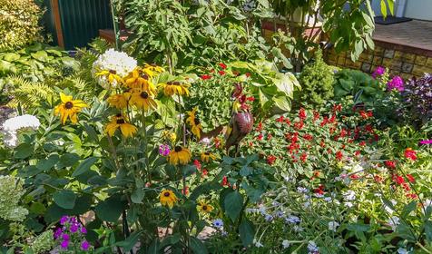 Гостевой дом Изумруд, г. Новороссийск, с. Дюрсо