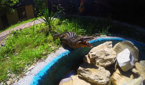 Сосновый бор