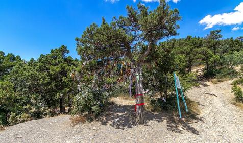 Большой Утриш