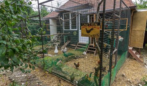 Туристическая база Курочка Ряба, Северский район, ст. Новодмитриевская