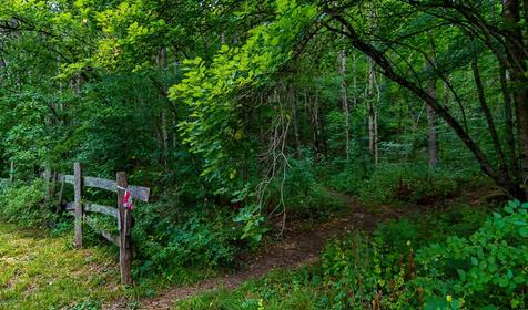 Спортивно-туристическая база Планческие скалы, Северский район, ст-ца Крепостная