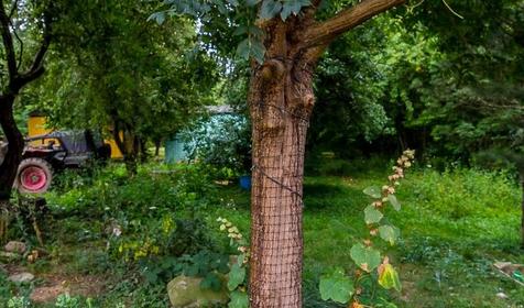 Спортивно-туристическая база Планческие скалы, Северский район, ст-ца Крепостная