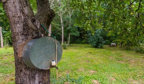 Спортивно-туристическая база Планческие скалы, Северский район, ст-ца Крепостная