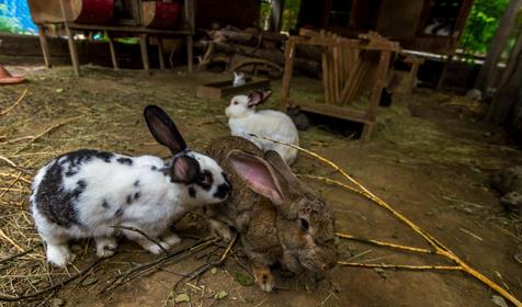 Спортивно-туристическая база Планческие скалы, Северский район, ст-ца Крепостная