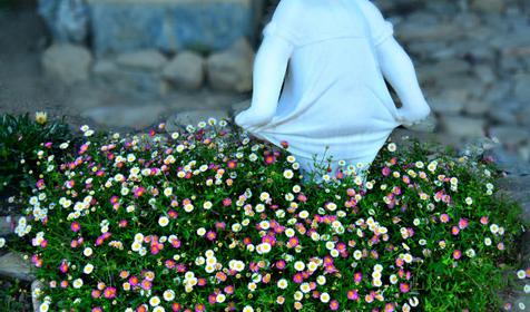 Горный воздух