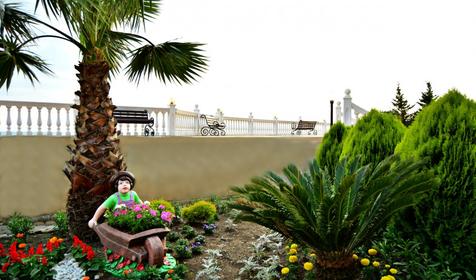 Горный воздух