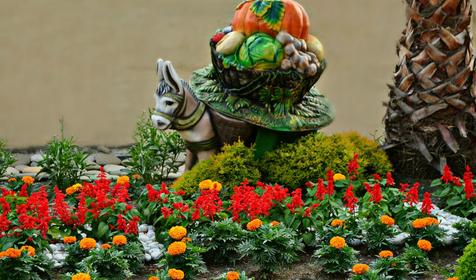 Горный воздух